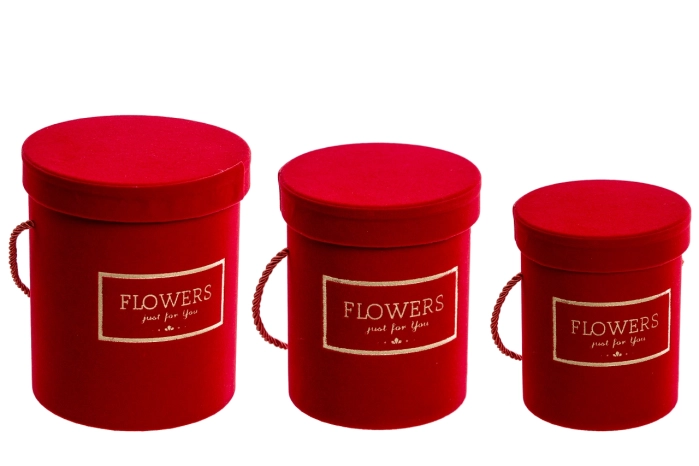 Flower box [s/3] (12kpl) [red]