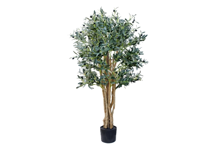 Drzewo oliwne [120cm] (2szt)