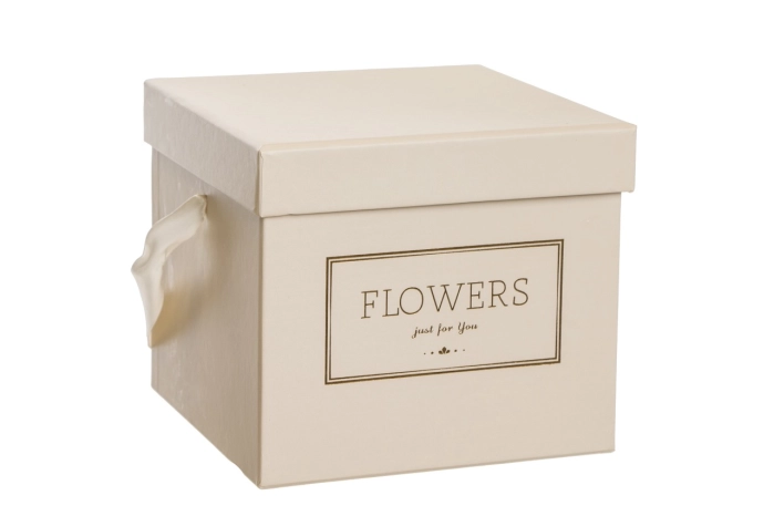 Flower box kwadratowy pojedynczy [cream] (24szt)