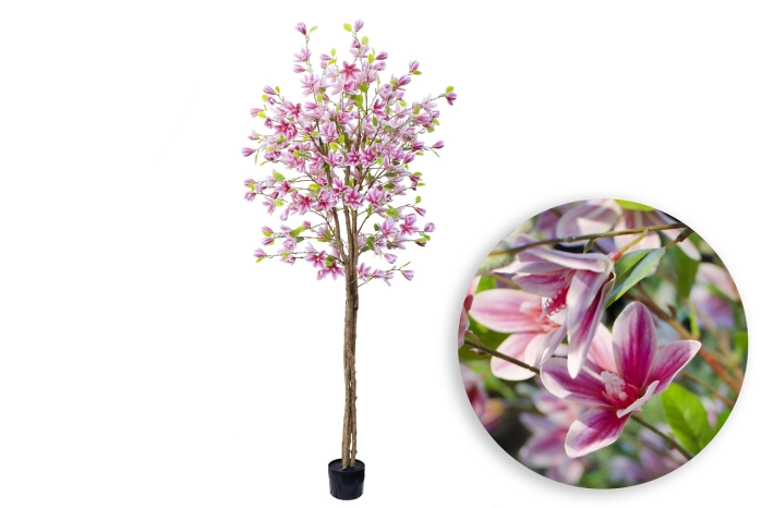 Drzewo magnolia 180cm (4szt)