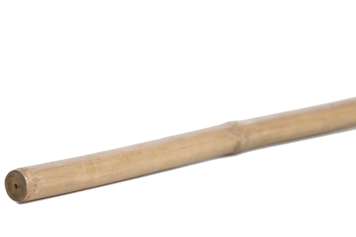 Kij bambusowy 200x2cm (20szt)