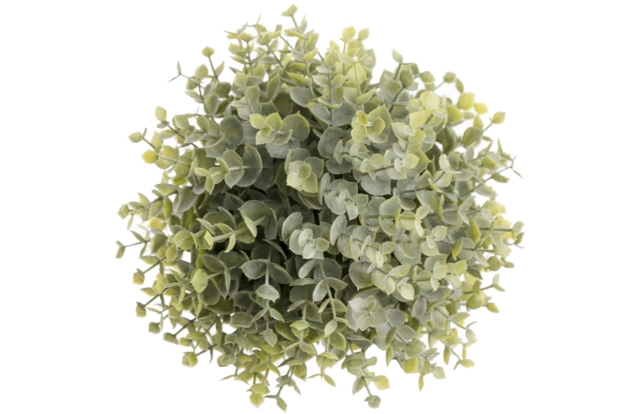 Kula eukaliptus 20cm (12/36szt)