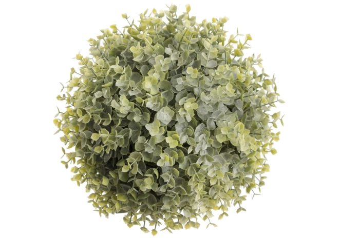 Kula eukaliptus 25cm (8/24szt)