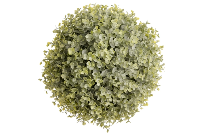 Kula eukaliptus 30cm (3/12szt)
