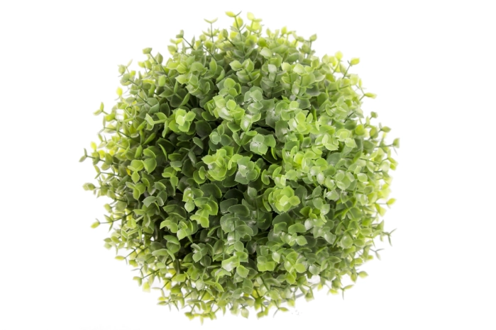 Kula eukaliptus 25cm (8/24szt)