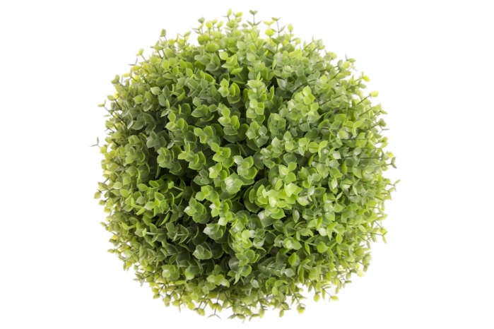 Kula eukaliptus 30cm (3/12szt)