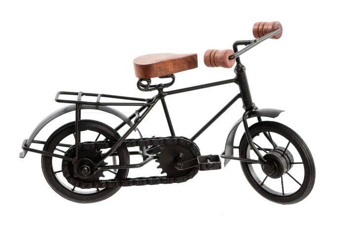 [54124.0] Rower figurka  (4/24szt)
