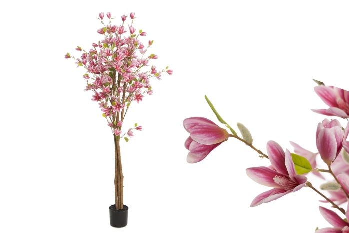 Drzewo magnolia 150cm (4szt)