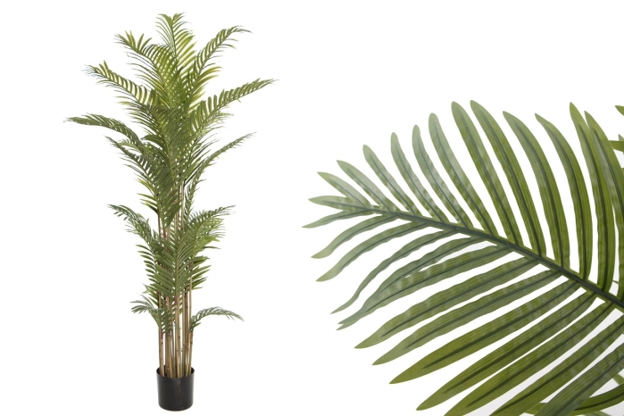 Palma bambusowa drzewo 180cm (2szt)