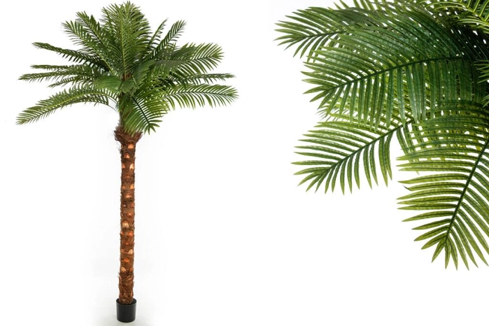 Drzewo palmowe 270cm (2szt)