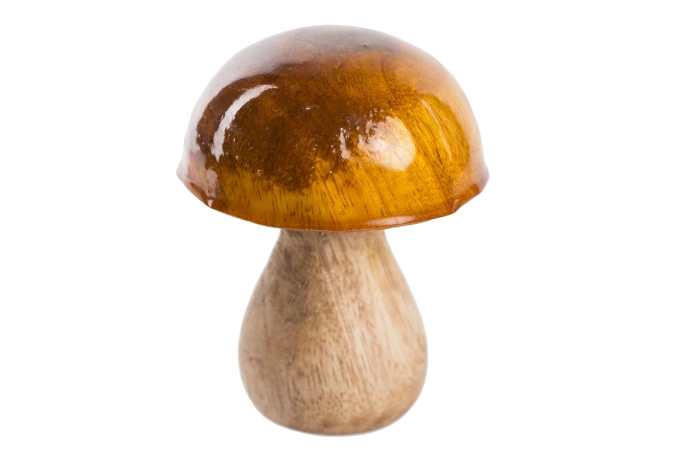 Grzyb drewniany figurka (48szt)