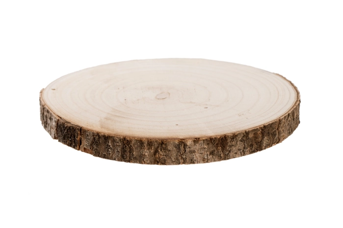 Plaster drewna 25cm (40szt)