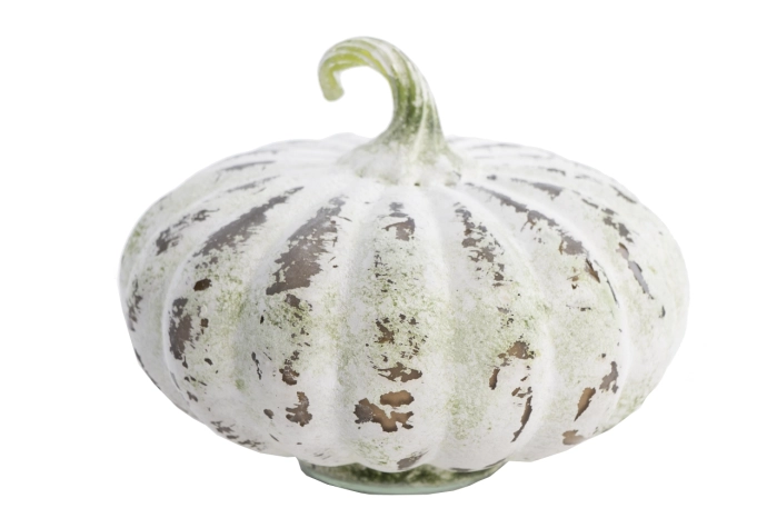 Dynia (2szt)