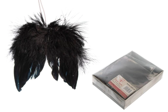 Skrzy/Black C009-0900205B (20op)s/12