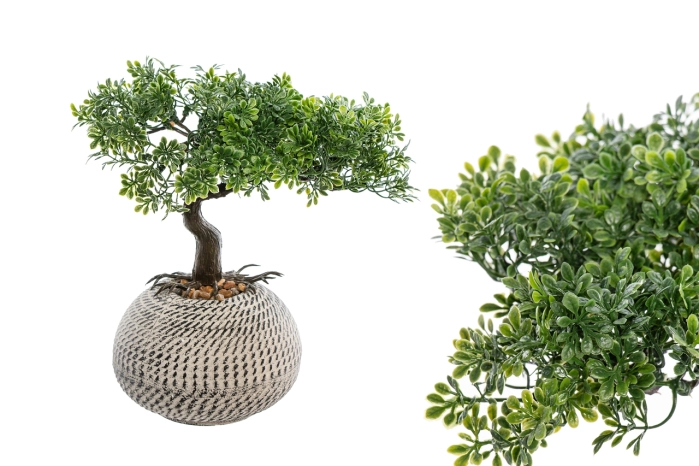 Drzewko bonsai w doniczce 27cm (6szt)