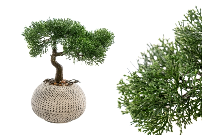 Drzewko bonsai w doniczce 26cm (6szt)