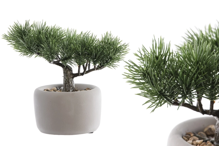 Drzewko bonsai w doniczce 20cm (12szt)