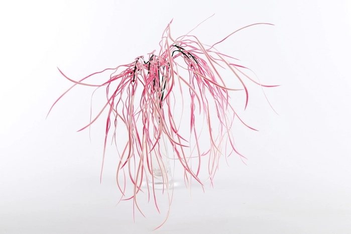 Gałązka plastikowa x6 [pink] (336 szt)