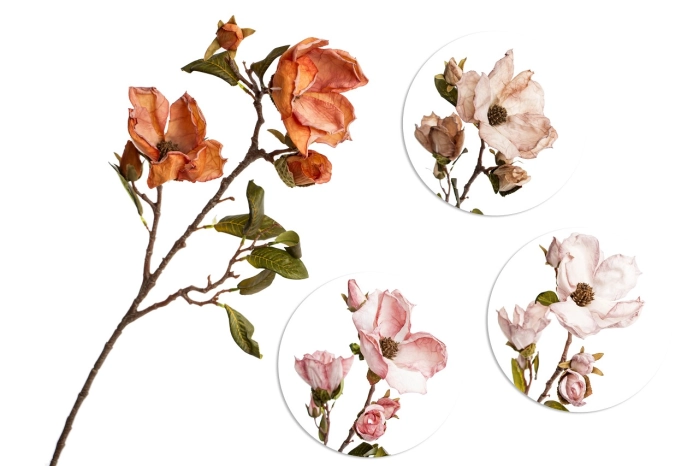 Magnolia (12/120szt)