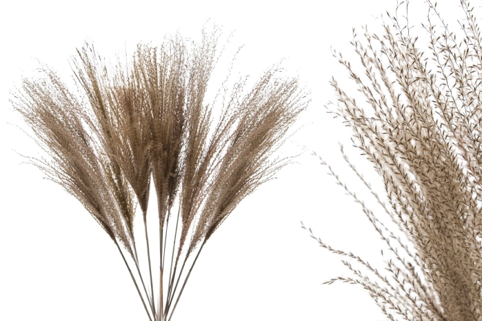Trawa naturalna 80cm  (1/10 opak)