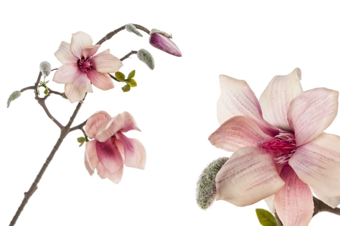 Gałązka magnolii (30/180szt)