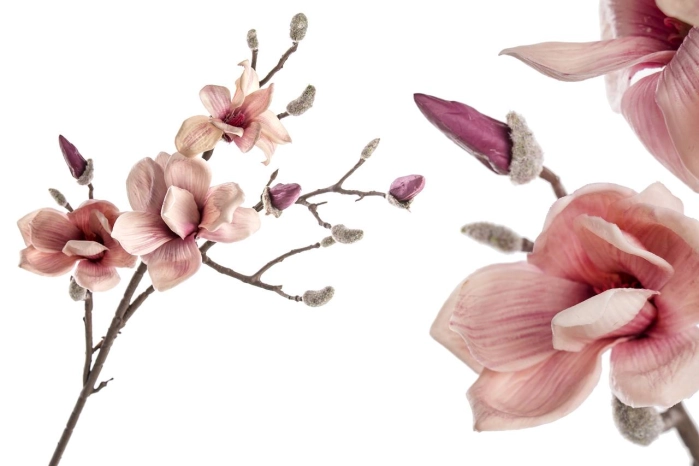 Gałązka magnolii (12/96szt)