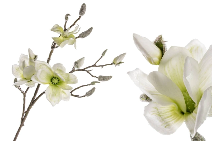 Gałązka magnolii (12/96szt)