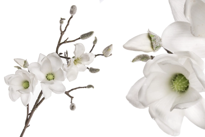 Gałązka magnolii (12/96szt)