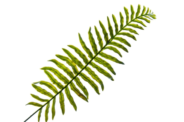 Sztuczny liść paproci zielony 48 cm do wazonów i kompozycji florystycznych