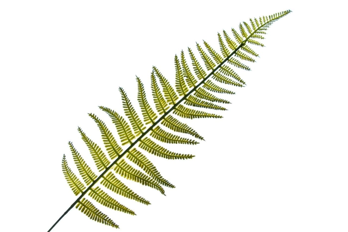 Sztuczny liść paproci zielony 49 cm do wazonów i kompozycji florystycznych