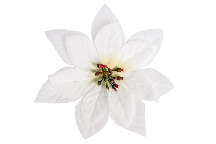 Poinsecja wyrobowa (24/576szt) [white]