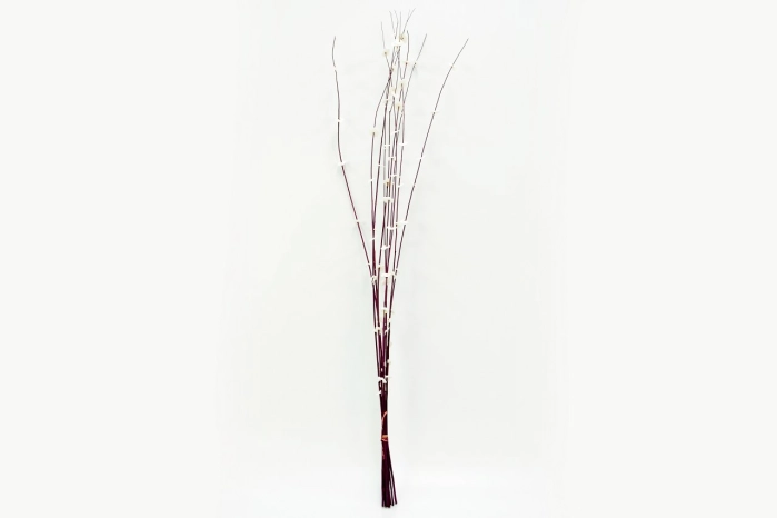 Salix Daisy 6620-351PLUM (64op)