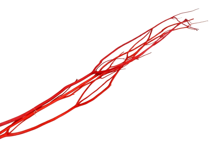 Mitsumata 6235-260 120cm red s/3 (48op)
