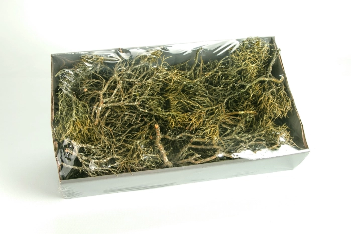 Iron bush 750g mroźna zieleń  (6op) 48x28x10cm