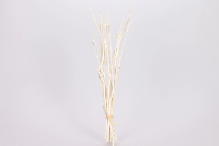 Mitsumata 50-60cm mat white (48 op)