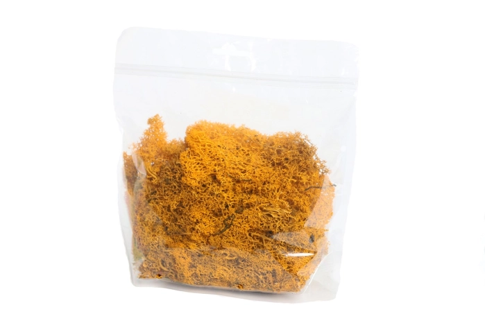 Chrobotek fall yellow 100g (1op)