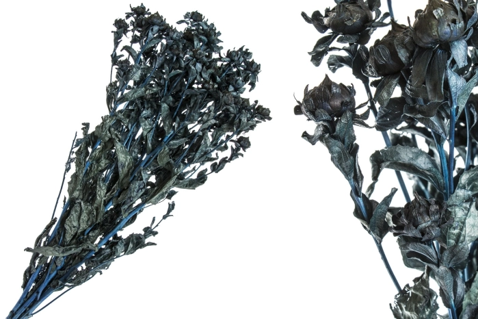 Susz carthamus blu (30 szt) 100gr.