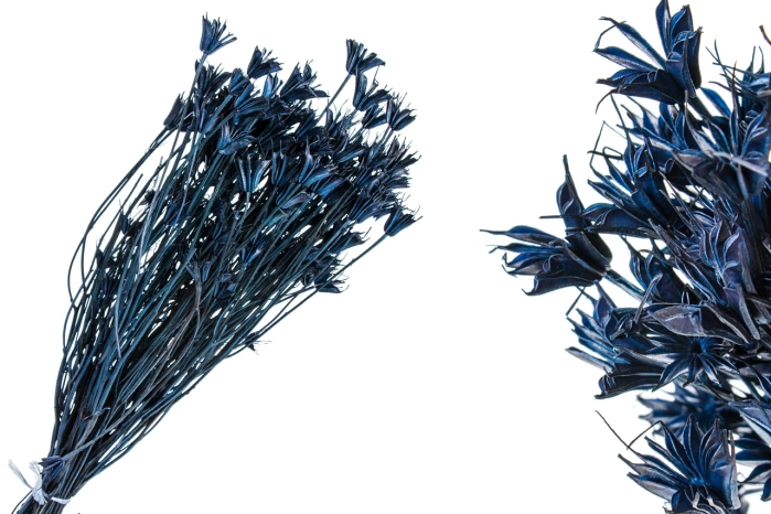 Susz nigella orientalis blu 100gr. (30 szt)