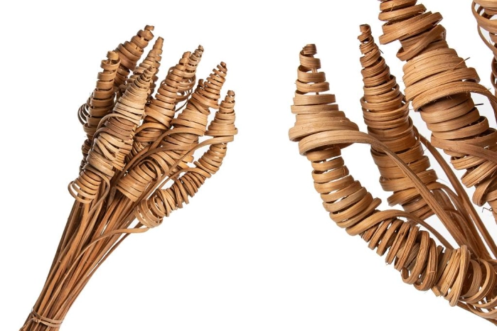 CANE CONE [op-50szt] (24op) [63-64]