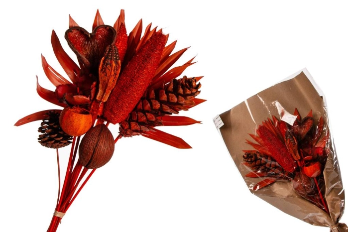 EXOTIC BUNCH 60cm ORANGE (15szt)