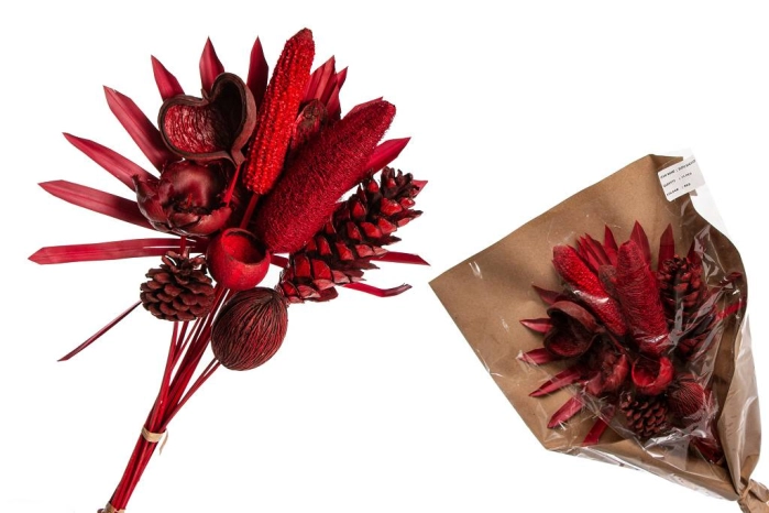 EXOTIC BUNCH 60cm RED (15szt)