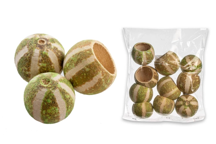 BELL CUP PUMPKIN GREEN [op-10szt] (50op) [24-26]