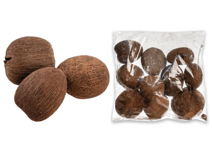 PALM NUT [op-10szt] (40op) [30-32]