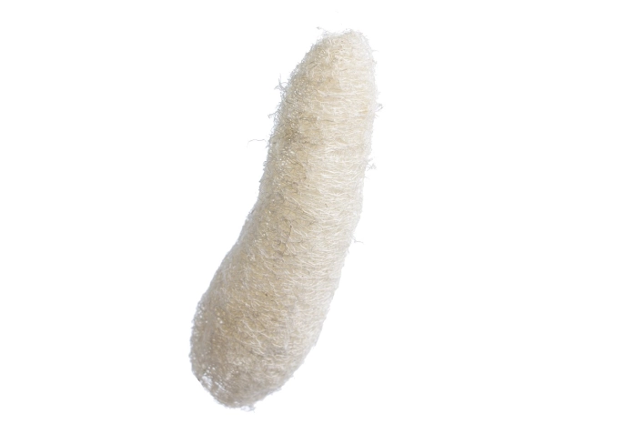 LUFFA 10-15cm (400szt) [59-62]
