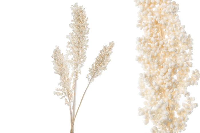 WHITE CORN [op-3szt] (80op) [92-96]