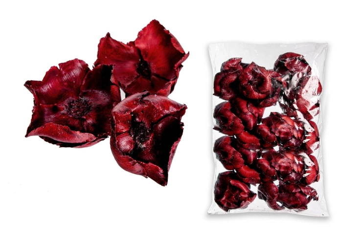 PALM CUP BURGANDY [op-25szt] (15op) [109-115]