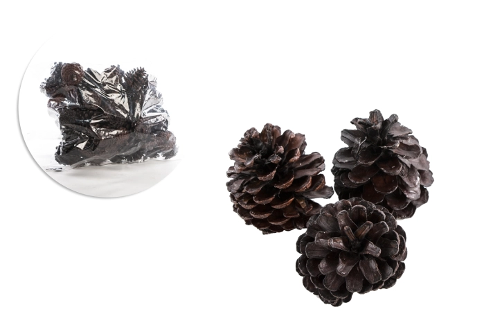 BLUE PINE WAX COATED BROWN [op-50szt] (8op)