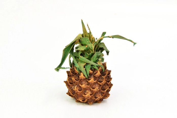 Pineapple Mini Loose Nat.(35/210pcs)