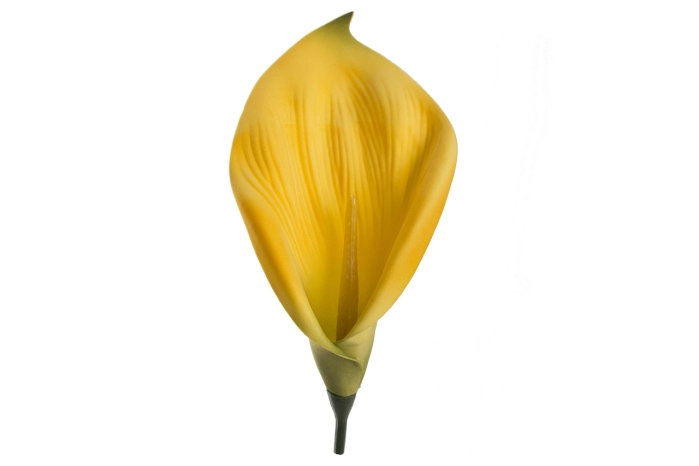 Kalia wyrobowa [YELLOW] (144/1728szt)