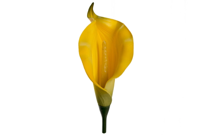 Kalia wyrobowa [YELLOW] (144/3456szt)